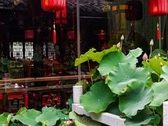-小龙翻大江文化火锅(宽窄店)
