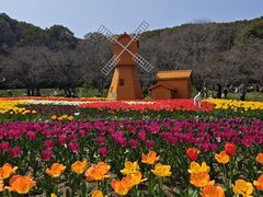 -苏州上方山国家森林公园