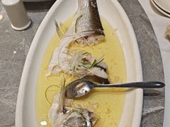 -老绍兴养和饭店(向阳不夜城店)