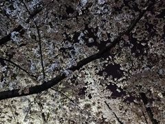 -龙美术馆(西岸馆)