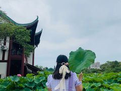-桂湖森林公园