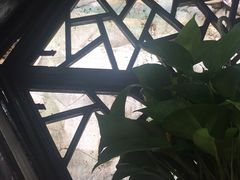 -原怡园面馆(拙政园店)