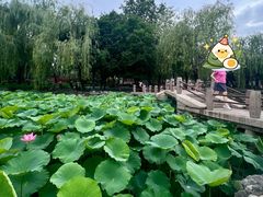 -申德勒加油站西餐厅(日坛路总店)
