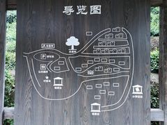 -杨家堂村