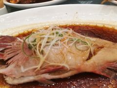 清蒸东星斑-御景珑庭酒店(金润发前洲店)