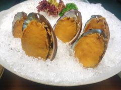 鲍鱼-木棉·醉心粤味(COCO Park店)