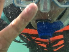 -阿波岛
