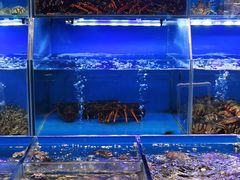 -岳各庄批发市场(西四环中路店)