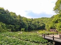 -天目湖山水园