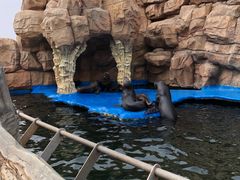 -华夏文旅海洋公园