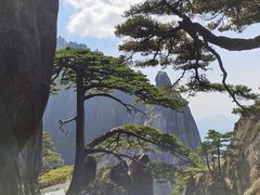-黄山风景区
