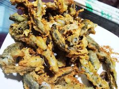 -途肴·老农饭庄(百里峡店)