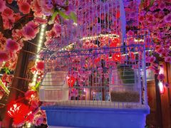 -丽江庭院之爱在路上(西单店)