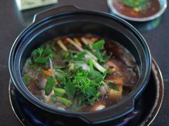-老杨砂锅鱼庄