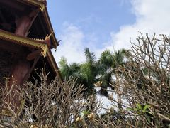 -西双版纳总佛寺