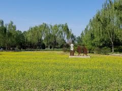 -北坞公园