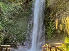-莫里热带雨林景区