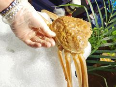 -乔哥铭洋海鲜自助(皇城恒隆广场店)