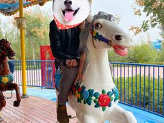 -华夏文旅海洋公园