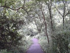 -华蓥山天意谷景区