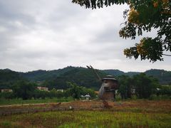 -红山村