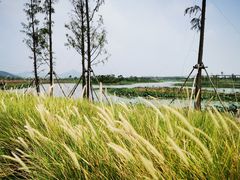 -崖口红树林海鲜餐厅
