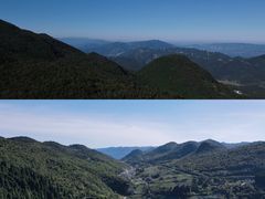 -武陵山森林公园