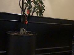 -涟LIAN·泰式按摩·MASSAGE·SPA(深业上城店)