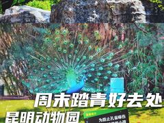-昆明动物园