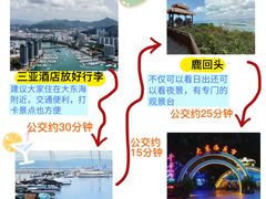 -亚龙湾热带天堂森林公园