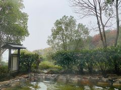 -山湖温泉