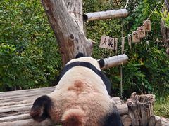 -青藏高原野生动物园