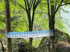 -刘伯温故里景区百丈漈