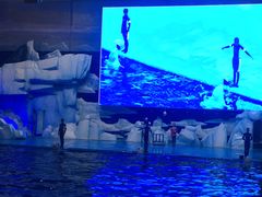 景点-福州罗源湾海洋世界旅游区