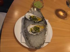 -迪拜帆船酒店海底餐厅