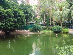 景点-九龙公园