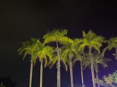 -三亚亚龙湾万豪度假酒店