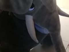 -鹏欣水游城