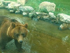 -北京野生动物园