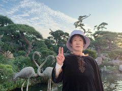 -罗红摄影艺术馆