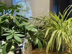 -鑫花溪牛肉米粉(凤凰街创始总店)