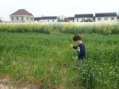 -青浦采草莓天天草莓园