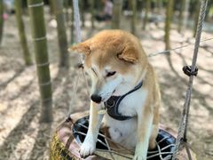 -陶祖圣境风景区