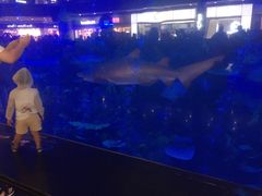 -成都浩海立方海洋公园