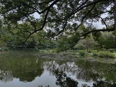 -杭州植物园