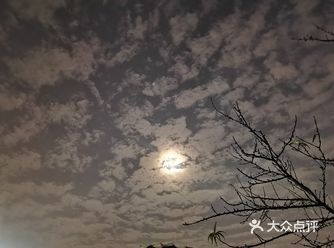 配合着两岸的风景，美不胜收，让人流连忘返的