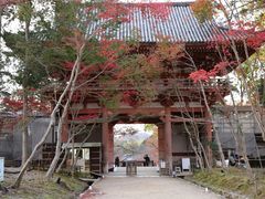 -醍醐寺