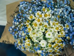 -循礼门鲜花花市(武汉循礼门店)