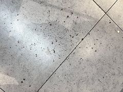 -满堂春特色餐馆