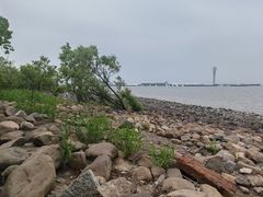 -吴淞炮台湾湿地森林公园烧烤区